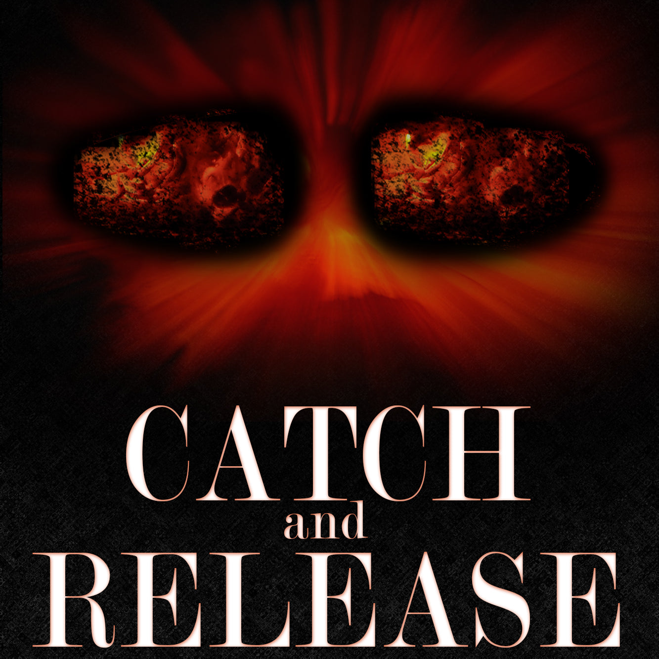 Book Review: Catch and Release by Damian Roache