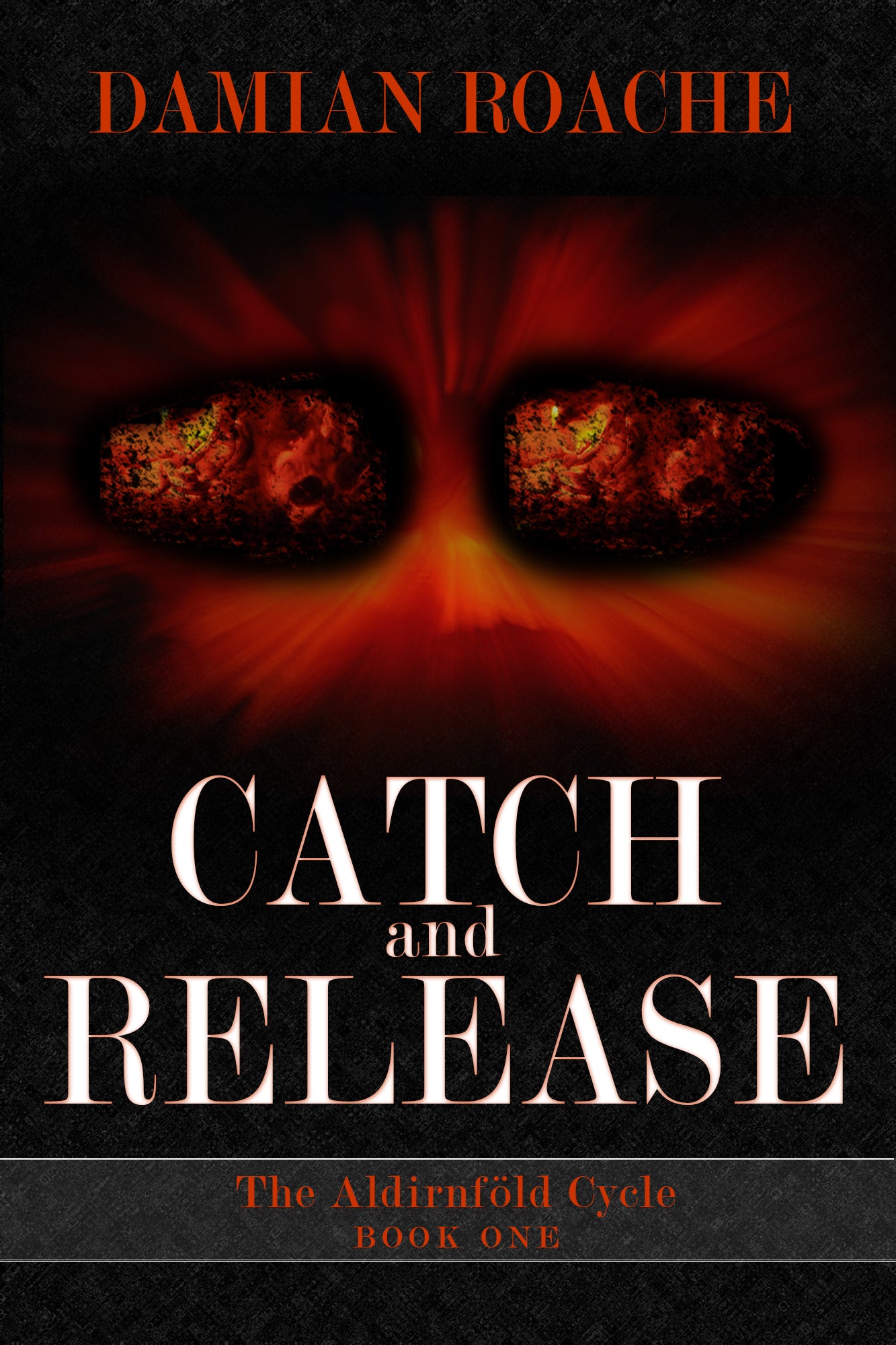 Book Review: Catch and Release by Damian Roache
