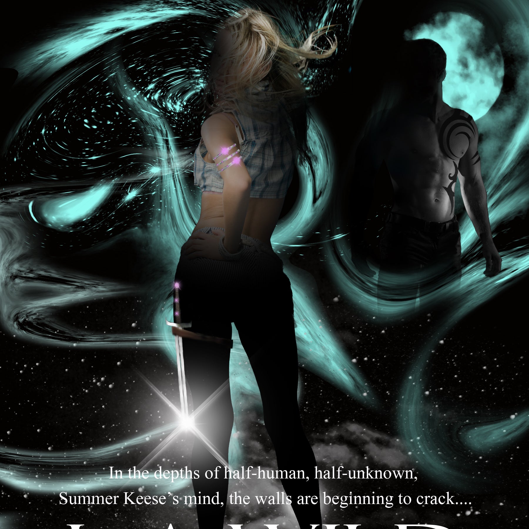 Book Review: Chance the Darkness by L.A. Wild