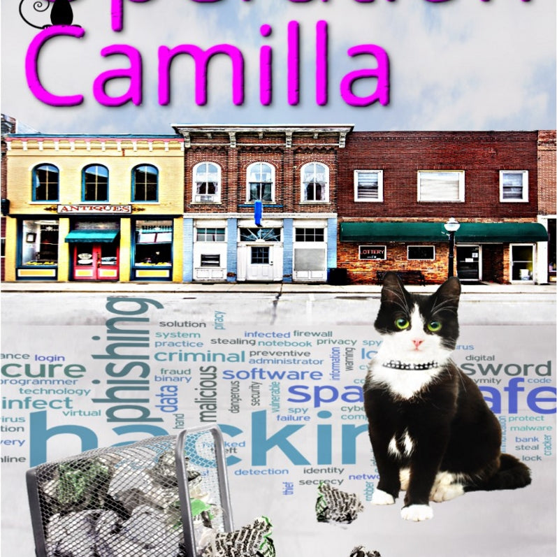 Book Review: Operation Camilla by Tabitha Ormiston Smith