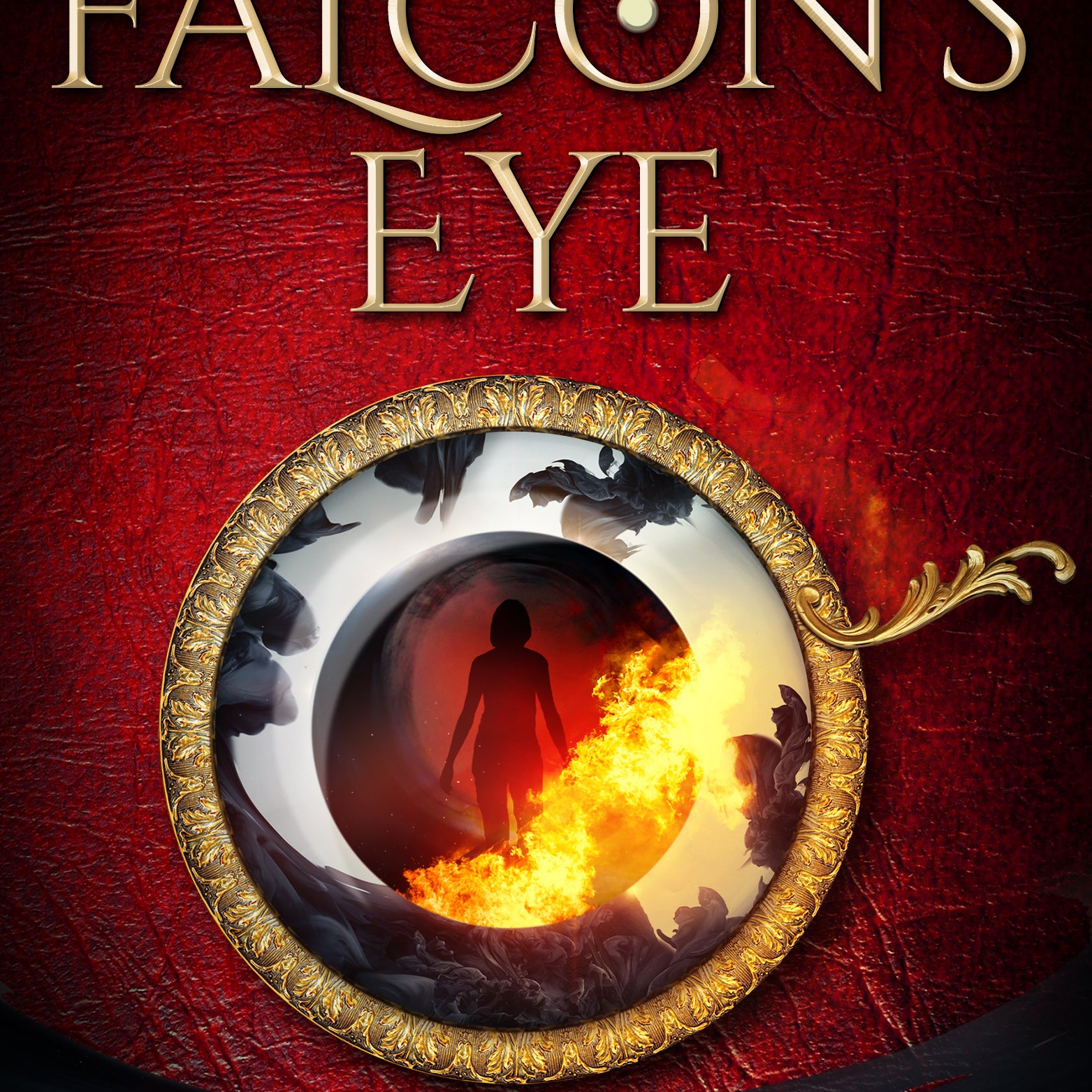 Book Review: Falcon's Eye by Surya Vaidyanathan