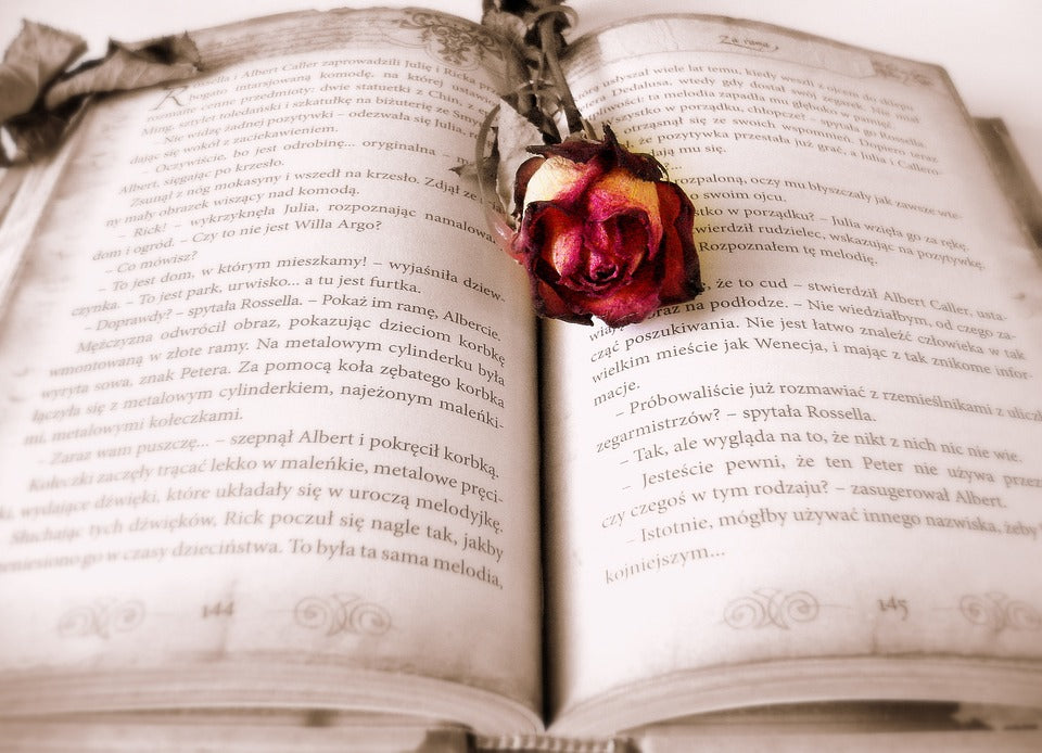 The Secret to Writing a Novel in Three Days