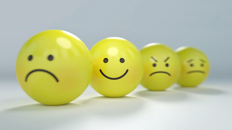 Embrace All Your Emotions: The Good, The Bad, The Ugly