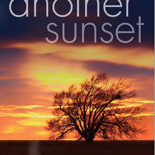 Book Review: Another Sunset by Jason Zandri